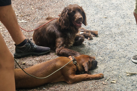 Beim Waldfest Ebrach