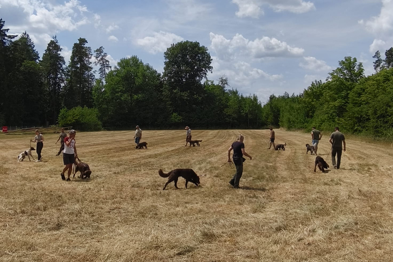 Zuchtschau Ursensollen 2025
