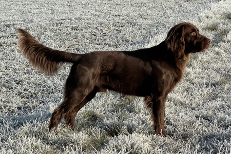 Juri von der Frankenhöhe