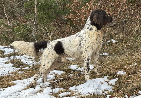 Michel von der Schmiede