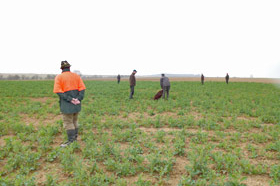 VJP Buchheim 2012					 Gemeldet: 18, geprüft:18, bestanden:17 Hunde 							Punkte 						 						 							Kira von der Riedleite 43/09, gew. 24.01.2009, spl,sil,AH 								F:Alfons Reiner, 86502 Osterbuch 							77 						 						 							Mira von der  Schmiede 16/09, gew. 29.01.2009, spl,sil 							F: Ulrich Mergner, 96157 Ebracht 							76 						 						 							Herzog von Buchheim 444/08, gew. 03.10.2008, stumm 							F: Christian Seelmann, 91315 Höchstadt/A, 							75 						 					 							/Horneth von Buchheim 446/08, gew. 03.10.2008, sil 							F: Leonhard Schmieg, 91593 Buchheim 							74 						 					 							Hanno vom Emsdeich 582/08, gew. 26.12.2008, sil 							F: Uwe Meißner, 91620 Ohrenbach 							73 						 					 							Bazi vom Labertal 522/08, gew. 02.11.2008,sil 							F: Detlev Ring, 96152 Burghaslach 							70 						 					 						Yesterday vom Sämmenhof 384/09, gew. 06.09.2009, sil 							F: Hans Sämmer, 97950 Gerchsheim 						67  					 					 						Yesko vom Sämmenhof 377/09, gew. 06.09.2009, Laut fragl 							F: Hans Sämmer, 97950 Gerchsheim 						67 					 					 						Yulchen vom Sämmenhof 385/09, gew. 06.09.2009, silF: Kerstin Epp, 97957 Wittighausen 						66 					 					 						Ayka von der Bachmühle 540/08, gew. 25.12.2008, sil 							F: Erika Hauf, 91598 Colmberg 						63  					 					 						Heidi von Buchheim 445 /08, gew. 03.10.2009, sil 							F: Burkhard Merget, 63791 Karlsteins 						55 					 					 						Bero vom großen Herzberg 279/09, gew. 06.05.2009, sil 							F: Bernd Franke, 31195 Lamspringe 						54 					 					 						 							 								 									 										Hunde aus dem Zuchtversuch 									 								 							 						 					 					 						 							 						 					 					 						Etzel von Buchheim 34ZV09 - 65/09, gew. 06.02.2009, spl 							F: Ursula Reese-Schicker, 90592 Schwarzenbruck 						74 					 					 						Esche von Buchheim 37ZV09 - 68/09, gew. 06.02.2009, spl 							F: Christoph Rabeler, 25872 Ostenfeld 						70 					 					 						Enjia von Buchheim 36ZV09 - 67/09, gew. 06.02.2009, spl, sil 							F: Klaus Eisen, 97215 Simmershofen 						67 					 					 						Eiko von Buchheim 32ZV09 - 63/09, gew. 06.02.2009, spl 							F: Waltraud Müller, 91572 Bechhofen 						63 					 					 						Equo von Buchheim 33ZV09 - 64/09, gew. 06.02.2009, spl 							F: Jörn Cordes, 26840 Koldenbüttel 						62  					 					 				 				 				Suchensieger wurde Kira von der Riedleite, geführt von Alfons Reiner 			 			 	