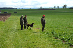 VJP Nördlingen 2012					 Gemeldet: 18, geprüft:18, bestanden:17 Hunde 							Punkte 						 						 							Kira von der Riedleite 43/09, gew. 24.01.2009, spl,sil,AH 								F:Alfons Reiner, 86502 Osterbuch 							77 						 						 							Mira von der  Schmiede 16/09, gew. 29.01.2009, spl,sil 							F: Ulrich Mergner, 96157 Ebracht 							76 						 						 							Herzog von Buchheim 444/08, gew. 03.10.2008, stumm 							F: Christian Seelmann, 91315 Höchstadt/A, 							75 						 					 							/Horneth von Buchheim 446/08, gew. 03.10.2008, sil 							F: Leonhard Schmieg, 91593 Buchheim 							74 						 					 							Hanno vom Emsdeich 582/08, gew. 26.12.2008, sil 							F: Uwe Meißner, 91620 Ohrenbach 							73 						 					 							Bazi vom Labertal 522/08, gew. 02.11.2008,sil 							F: Detlev Ring, 96152 Burghaslach 							70 						 					 						Yesterday vom Sämmenhof 384/09, gew. 06.09.2009, sil 							F: Hans Sämmer, 97950 Gerchsheim 						67  					 					 						Yesko vom Sämmenhof 377/09, gew. 06.09.2009, Laut fragl 							F: Hans Sämmer, 97950 Gerchsheim 						67 					 					 						Yulchen vom Sämmenhof 385/09, gew. 06.09.2009, silF: Kerstin Epp, 97957 Wittighausen 						66 					 					 						Ayka von der Bachmühle 540/08, gew. 25.12.2008, sil 							F: Erika Hauf, 91598 Colmberg 						63  					 					 						Heidi von Buchheim 445 /08, gew. 03.10.2009, sil 							F: Burkhard Merget, 63791 Karlsteins 						55 					 					 						Bero vom großen Herzberg 279/09, gew. 06.05.2009, sil 							F: Bernd Franke, 31195 Lamspringe 						54 					 					 						 							 								 									 										Hunde aus dem Zuchtversuch 									 								 							 						 					 					 						 							 						 					 					 						Etzel von Buchheim 34ZV09 - 65/09, gew. 06.02.2009, spl 							F: Ursula Reese-Schicker, 90592 Schwarzenbruck 						74 					 					 						Esche von Buchheim 37ZV09 - 68/09, gew. 06.02.2009, spl 							F: Christoph Rabeler, 25872 Ostenfeld 						70 					 					 						Enjia von Buchheim 36ZV09 - 67/09, gew. 06.02.2009, spl, sil 							F: Klaus Eisen, 97215 Simmershofen 						67 					 					 						Eiko von Buchheim 32ZV09 - 63/09, gew. 06.02.2009, spl 							F: Waltraud Müller, 91572 Bechhofen 						63 					 					 						Equo von Buchheim 33ZV09 - 64/09, gew. 06.02.2009, spl 							F: Jörn Cordes, 26840 Koldenbüttel 						62  					 					 				 				 				Suchensieger wurde Kira von der Riedleite, geführt von Alfons Reiner 			 			 	