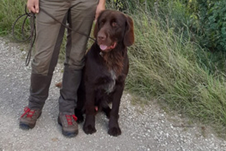 HZP Nördlingen 2021