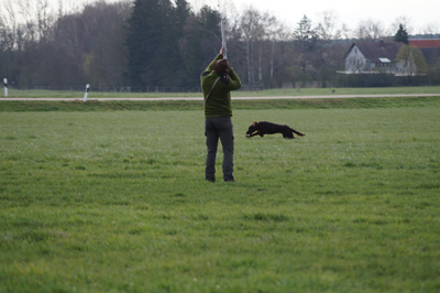 VJP Langenmosen 2021