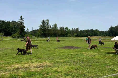 Sommerzuchtschau am Irschenberg 2024