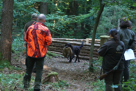 Internationale VGP 2025 in Deutschland