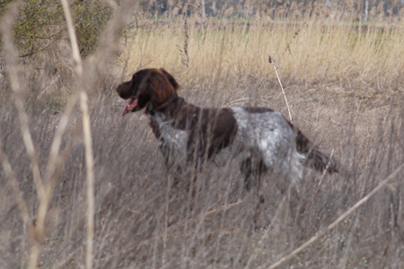 VJP Nördlingen 2025