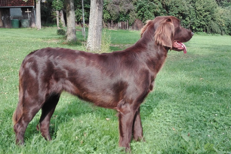 Zwinger von BüchelbergHof