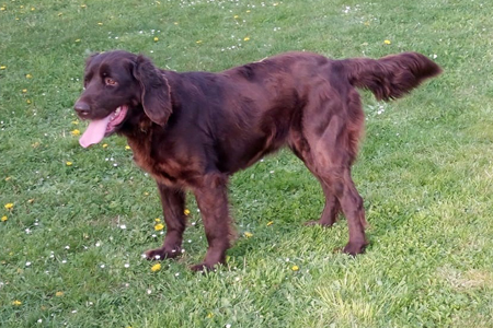 Zwinger von der Riedleite